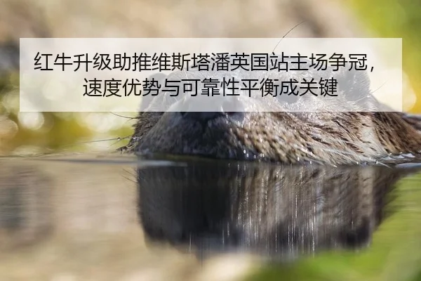 红牛升级助推维斯塔潘英国站主场争冠，速度优势与可靠性平衡成关键