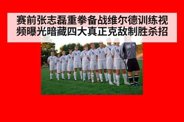 赛前张志磊重拳备战维尔德训练视频曝光暗藏四大真正克敌制胜杀招