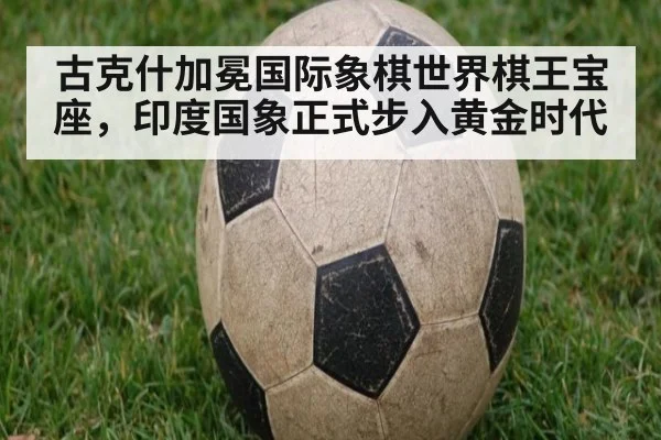 古克什加冕国际象棋世界棋王宝座，印度国象正式步入黄金时代